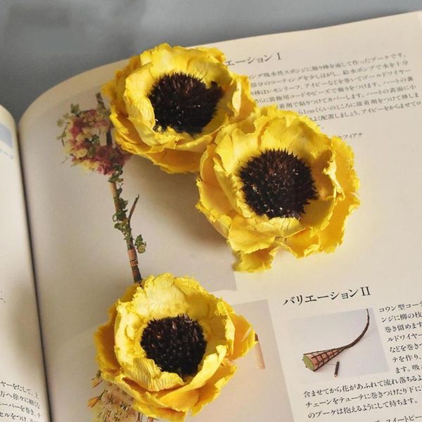 decorative flowers & wreaths 1 branch natural dried poppy material plant decoration flower style handmade wedding home dry diy european x7v7
decorative flowers & wreaths 1 branch natural dried poppy material plant decoration flower style handmade wedding home dry diy european x7v7