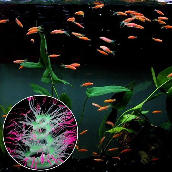 fish tank water landscape ornament decoration aquarium artificial sea anemone silicone coral plant accessories 6colors decorations
fish tank water landscape ornament decoration aquarium artificial sea anemone silicone coral plant accessories 6colors decorations