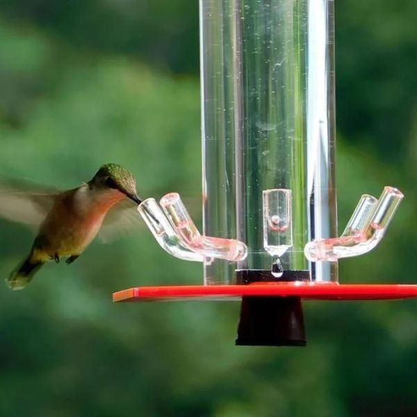 other bird supplies peter's hummingbird feeder for outdoors with 6 feeding ports hanging bright red transparent tube easy to clean fkxe
other bird supplies peter's hummingbird feeder for outdoors with 6 feeding ports hanging bright red transparent tube easy to clean fkxe