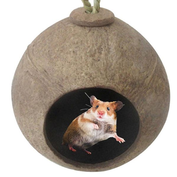 bird cages natural birds coconut shell nest house hut cage feeder pet parrot parakeet toy parakeets finches sparrows
bird cages natural birds coconut shell nest house hut cage feeder pet parrot parakeet toy parakeets finches sparrows