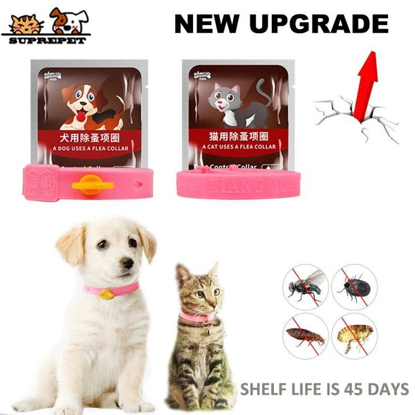 cat collars & leads suprepet adjustable flea and tick collar for pet natural rubber 2 months protection anti pests dog
cat collars & leads suprepet adjustable flea and tick collar for pet natural rubber 2 months protection anti pests dog