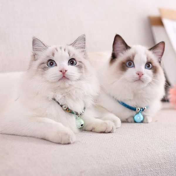cat collars & leads japan and the wind bell dog collar pet necklace accessories breakaway
cat collars & leads japan and the wind bell dog collar pet necklace accessories breakaway