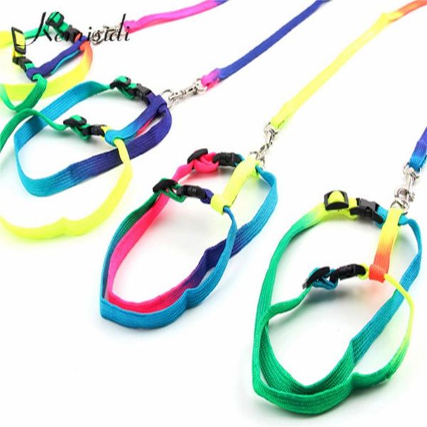 dog collars & leashes kemisidi basic seven revising h-shape pets traction rope colorful durable chest strap for pet dogs cats 
dog collars & leashes kemisidi basic seven revising h-shape pets traction rope colorful durable chest strap for pet dogs cats
