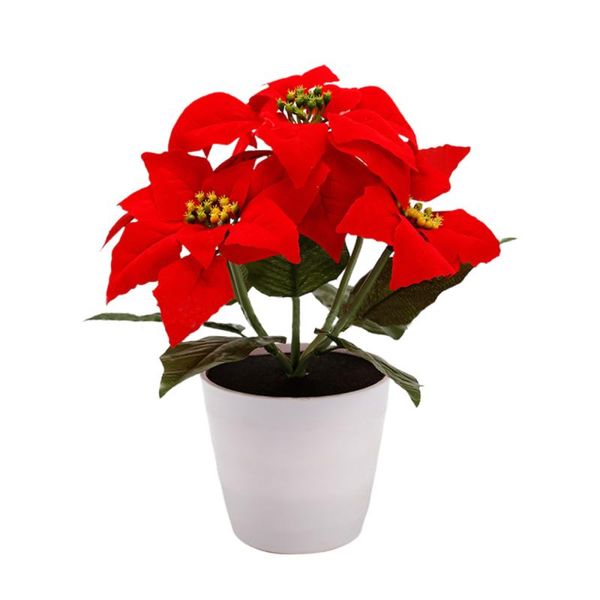 decorative flowers & wreaths night light easy installation christmas lantern poinsettia simulation flowerpot lamp solar led artificial ornam
decorative flowers & wreaths night light easy installation christmas lantern poinsettia simulation flowerpot lamp solar led artificial ornam