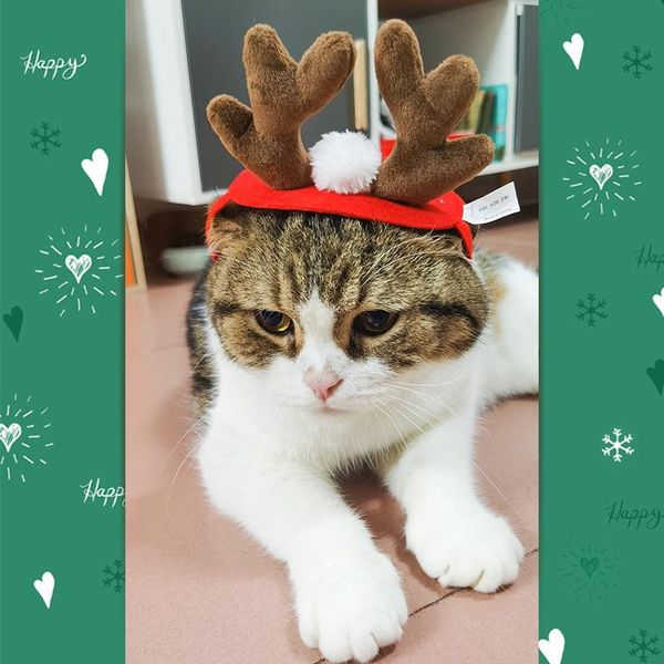 cat costumes pet supplieschristmas accessoriesdog hairpin accessorieschristmas antlers headbanddog hat
cat costumes pet supplieschristmas accessoriesdog hairpin accessorieschristmas antlers headbanddog hat