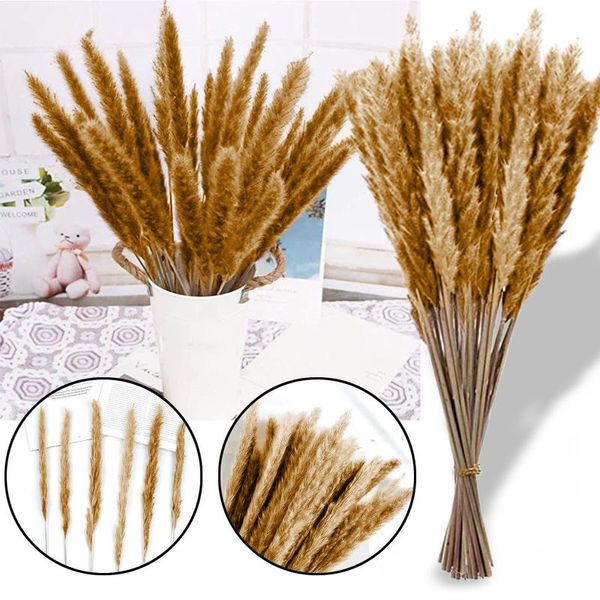 dry reed flower natural small pampas grass artificial plant fake wedding decoration boho branches home decor decorative flowers & wreaths
dry reed flower natural small pampas grass artificial plant fake wedding decoration boho branches home decor decorative flowers & wreaths