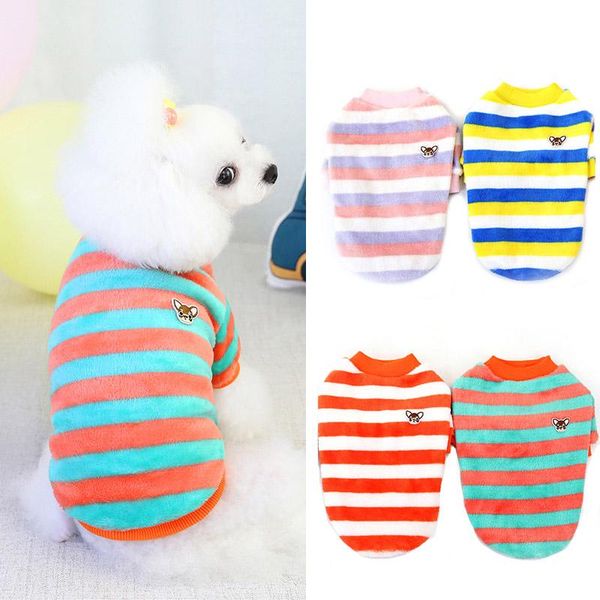 dog apparel pawstrip fleece clothes winter shirt puppy sweatshirt clothing warm cat yorkie pomeranian
dog apparel pawstrip fleece clothes winter shirt puppy sweatshirt clothing warm cat yorkie pomeranian