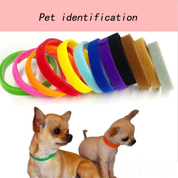 12pcs 20/35cm puppy kitten dog collars pet id bands adjustable identity recognition collar for cat product ko872992 & leashes
12pcs 20/35cm puppy kitten dog collars pet id bands adjustable identity recognition collar for cat product ko872992 & leashes