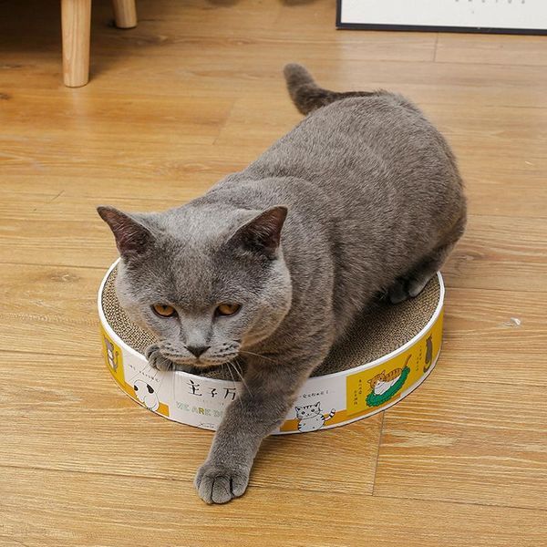 cat beds & furniture bed house foldable corrugated paper claw rubbing for cats toys slepping pets supplier
cat beds & furniture bed house foldable corrugated paper claw rubbing for cats toys slepping pets supplier