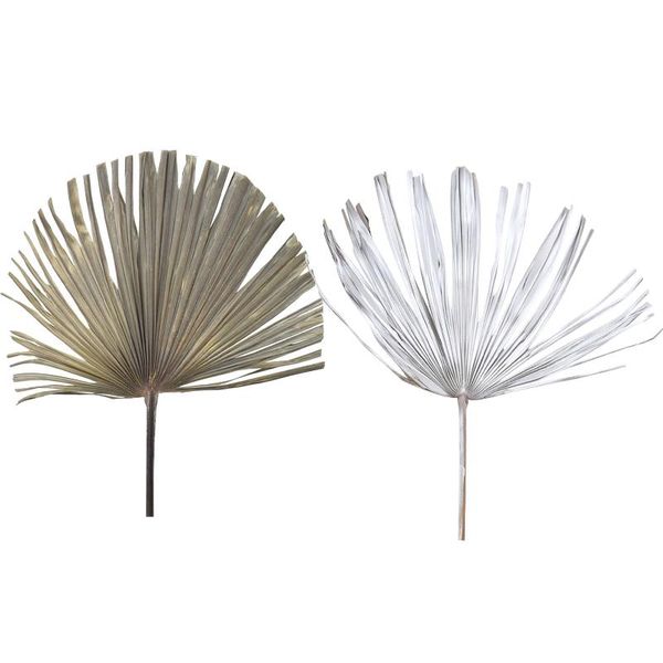 palm fan leaf dried diy wall ornament wedding party arch arrangement home window art decoration decorative flowers & wreaths
palm fan leaf dried diy wall ornament wedding party arch arrangement home window art decoration decorative flowers & wreaths