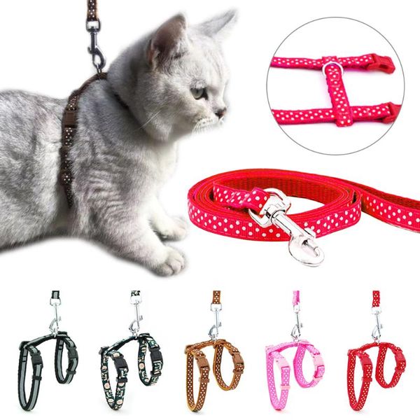 dog collars & leashes reflective pet kitten harness belt adjustable nylon cat collar leash traction product
dog collars & leashes reflective pet kitten harness belt adjustable nylon cat collar leash traction product