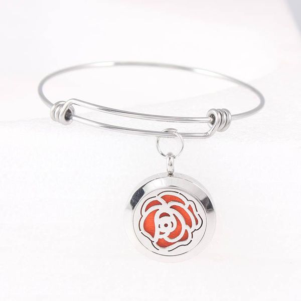bangle rose stainless steel love essential oil diffuser locket bracelet expandable 25mm perfume 10pcs pads, Black
bangle rose stainless steel love essential oil diffuser locket bracelet expandable 25mm perfume 10pcs pads, Black