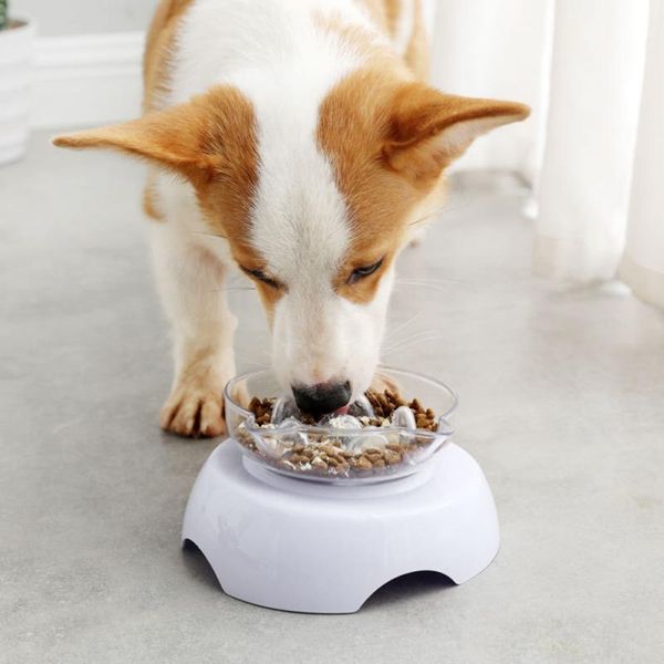 cat feeding products pet bowl plastic mouth single cervical spine drinking inclined 15° transparent bowls & feeders
cat feeding products pet bowl plastic mouth single cervical spine drinking inclined 15° transparent bowls & feeders