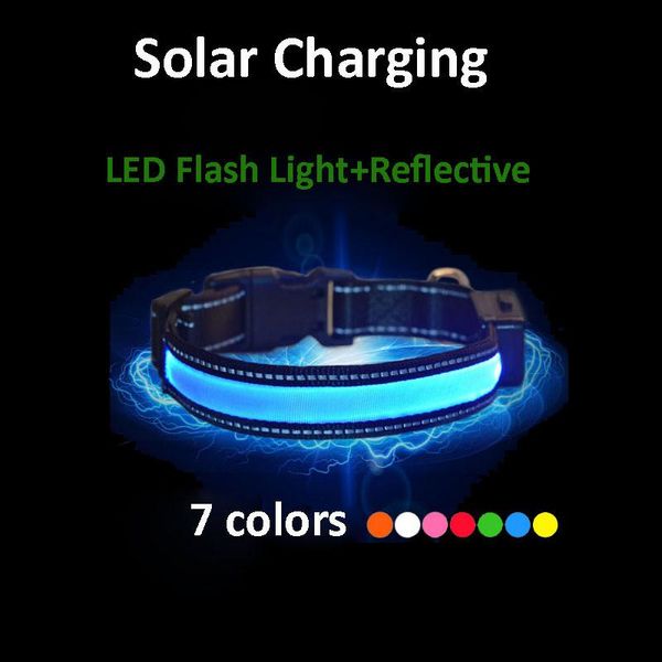 nylon pet dog collar solar energy led rechargeable safety light flashing glowing collars & leashes
nylon pet dog collar solar energy led rechargeable safety light flashing glowing collars & leashes