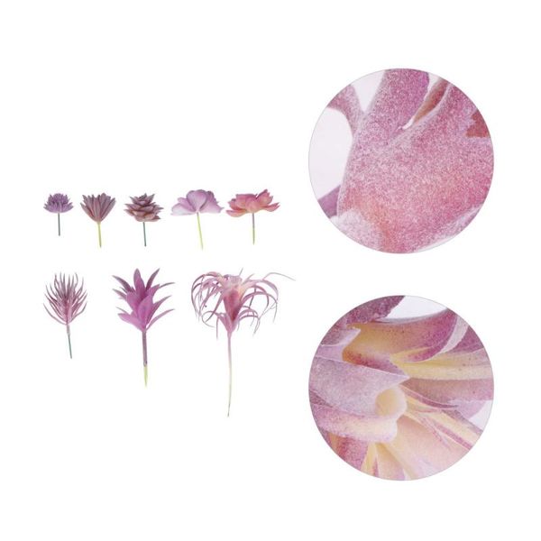 8pcs simulated succulent plants artificial decor (violet) decorative flowers & wreaths
8pcs simulated succulent plants artificial decor (violet) decorative flowers & wreaths