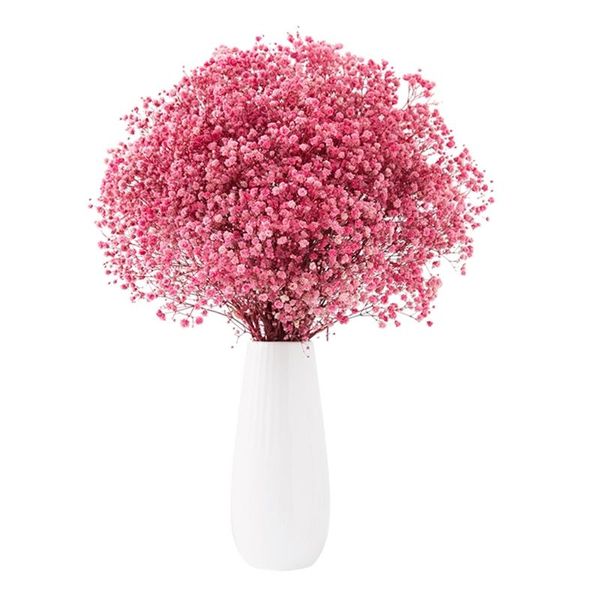 wedding flowers babies breath gypsophila bouquet bright color dried flower artificial flora for po props office diy decor no vase
wedding flowers babies breath gypsophila bouquet bright color dried flower artificial flora for po props office diy decor no vase