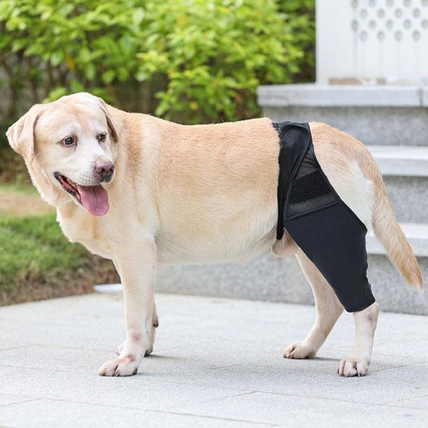 cat carriers,crates & houses dog legs protector covers pet knee pads protective injury recover soft gears outdoor wounds products
cat carriers,crates & houses dog legs protector covers pet knee pads protective injury recover soft gears outdoor wounds products