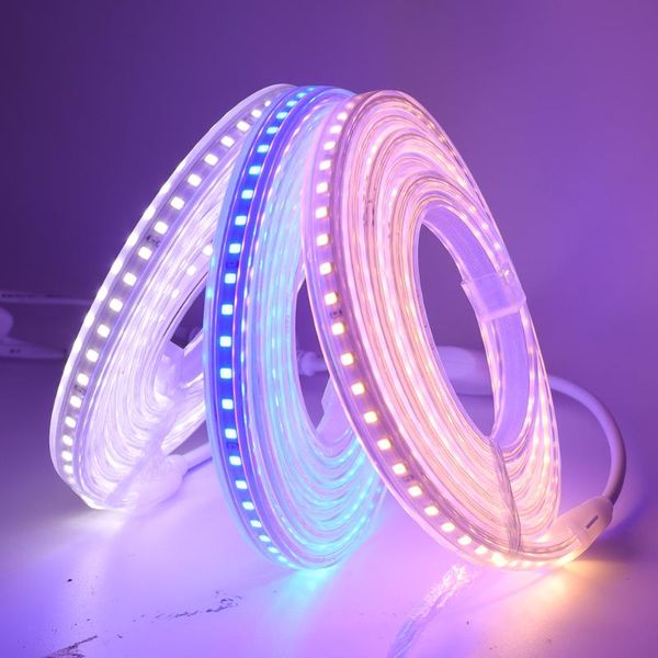 strips 220v 110v 2835 led strip with dimmer 120leds/m fita de ribbon diode tape waterproof white/warm white/blue flexible light
strips 220v 110v 2835 led strip with dimmer 120leds/m fita de ribbon diode tape waterproof white/warm white/blue flexible light