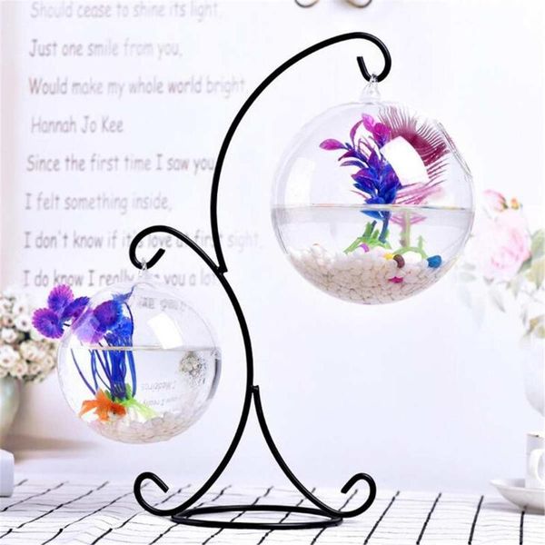 aquariums 3size simple deskhanging glass fish tank grass fun clear cylinder bowl iron stand holder aquarium accessories
aquariums 3size simple deskhanging glass fish tank grass fun clear cylinder bowl iron stand holder aquarium accessories