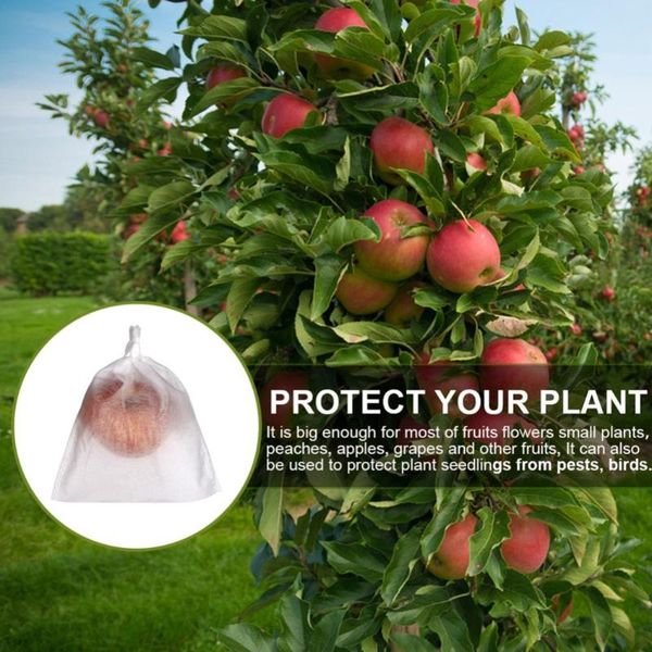 other garden supplies 50pcs grape protection bags for fruit vegetable grapes mesh bag against insect pouch waterproof pest control -bird
other garden supplies 50pcs grape protection bags for fruit vegetable grapes mesh bag against insect pouch waterproof pest control -bird
