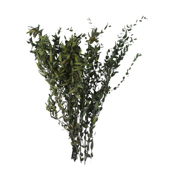 decorative flowers & wreaths artificial fine leaf eucalyptus silver dollar leaves foliage plants greenery fake plastic branches greens bushe
decorative flowers & wreaths artificial fine leaf eucalyptus silver dollar leaves foliage plants greenery fake plastic branches greens bushe