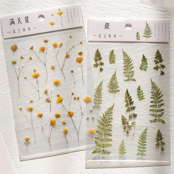 designs natural daisy clover japanese words stickers transparent pet material flowers leaves plants deco sticker aesthetic gift wrap
designs natural daisy clover japanese words stickers transparent pet material flowers leaves plants deco sticker aesthetic gift wrap