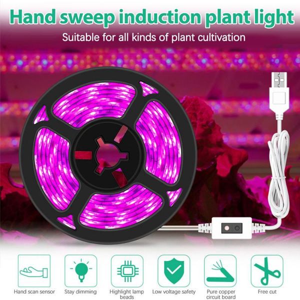grow lights plant growth light led planting fill with usb hand sweep dimming full spectrum indoor succulent growing lamps
grow lights plant growth light led planting fill with usb hand sweep dimming full spectrum indoor succulent growing lamps