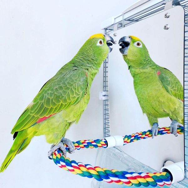 other bird supplies parrot toy acrylic mirror with rope perches toys swing comfy perch for parakeet cockatiel conure lovebirds canaries
other bird supplies parrot toy acrylic mirror with rope perches toys swing comfy perch for parakeet cockatiel conure lovebirds canaries