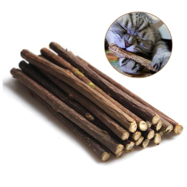 15&20pcs natural catnip pet cat molar toothpaste stick matatabi actinidia fruit silvervine sticks cleaning teeth toys
15&20pcs natural catnip pet cat molar toothpaste stick matatabi actinidia fruit silvervine sticks cleaning teeth toys
