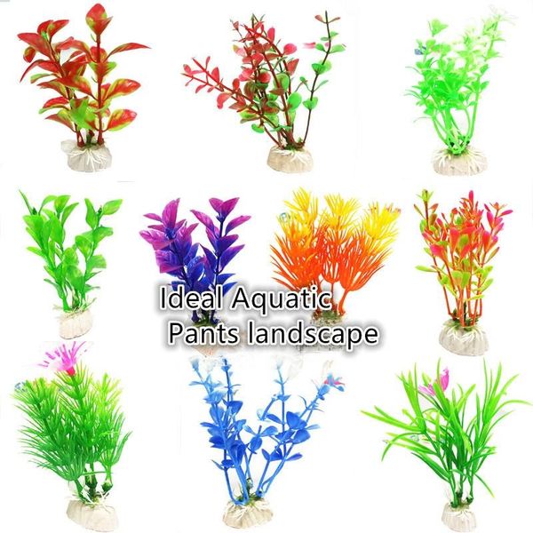 decorations 10pcs mix kinds water glass aquatic plants ideal aquarium ornamentation bonsai plastic warm and sweet home decoration
decorations 10pcs mix kinds water glass aquatic plants ideal aquarium ornamentation bonsai plastic warm and sweet home decoration