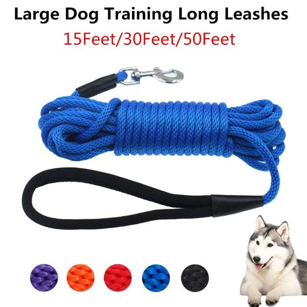 50feet dog leashes long pet outdoor dogs leash training walking for big rope super supplies collars &
50feet dog leashes long pet outdoor dogs leash training walking for big rope super supplies collars &