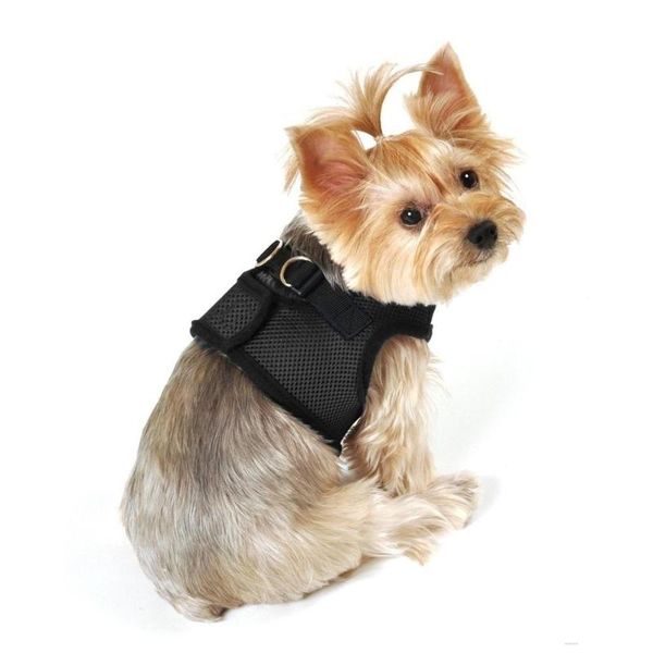 dog collars & leashes harness 2021 trend breathable mesh for a pet supplies fashion leash accessories
dog collars & leashes harness 2021 trend breathable mesh for a pet supplies fashion leash accessories
