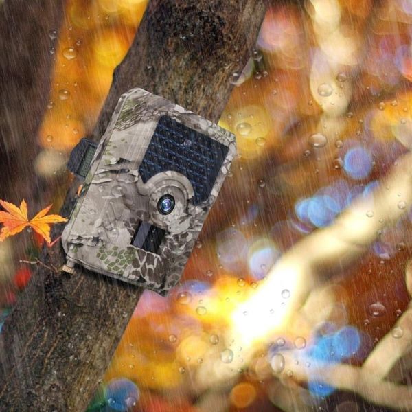 wildlife trail camera with 0.8s trigger time camouflage animal monitor waterproof hunting cameras
wildlife trail camera with 0.8s trigger time camouflage animal monitor waterproof hunting cameras