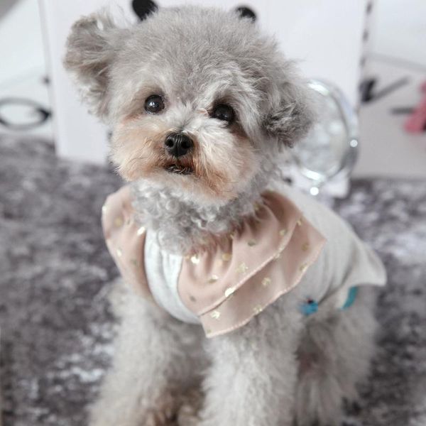 dog apparel bling sleeve vest cute girl clothes skirt cat puppy clothing small costumes bichon schnauzer pet drop
dog apparel bling sleeve vest cute girl clothes skirt cat puppy clothing small costumes bichon schnauzer pet drop