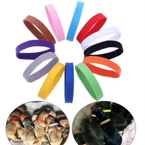 multicolor pet id collar universal reusable band for dog cat puppy kitten born baby collars apparel
multicolor pet id collar universal reusable band for dog cat puppy kitten born baby collars apparel