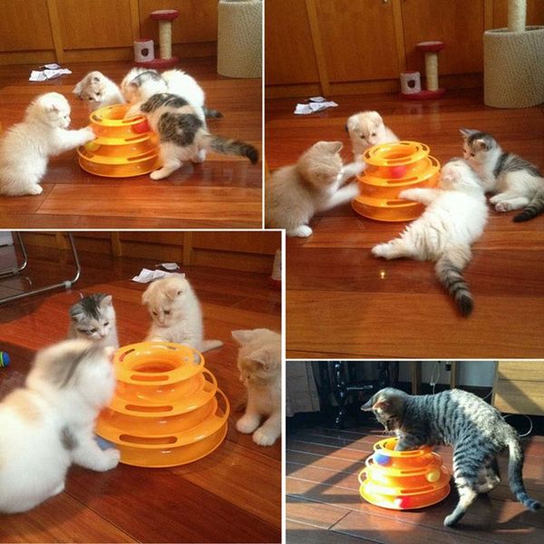 cat toys amusement crazy ball play disc interactive funny disk turntable comfortable and breathable stylish simplicity shining
cat toys amusement crazy ball play disc interactive funny disk turntable comfortable and breathable stylish simplicity shining