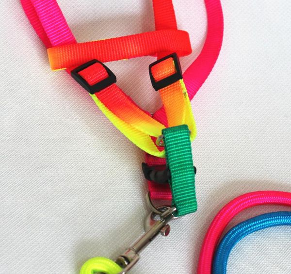 dog collars & leashes nylon pet thoracodorsal traction rope harness width1.0 1.5 2.0cm colorful round
dog collars & leashes nylon pet thoracodorsal traction rope harness width1.0 1.5 2.0cm colorful round