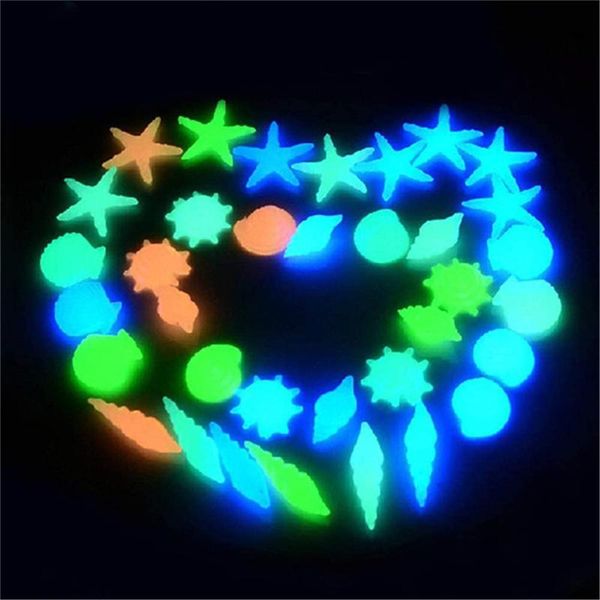 garden decorations 10pcs conch shell luminous stone sidewalk lawn yard decoration fish tank landscaping fluorescent t81
garden decorations 10pcs conch shell luminous stone sidewalk lawn yard decoration fish tank landscaping fluorescent t81