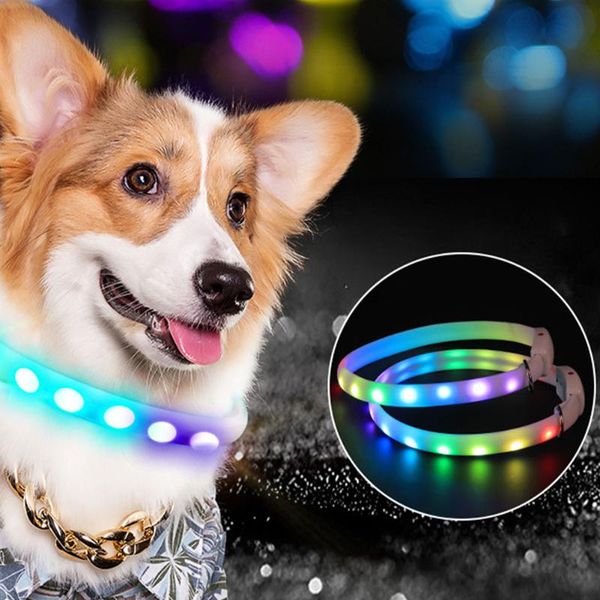 dog collar pet night large collars flashing glow glowing luminous rechargeable led safety & leashes
dog collar pet night large collars flashing glow glowing luminous rechargeable led safety & leashes