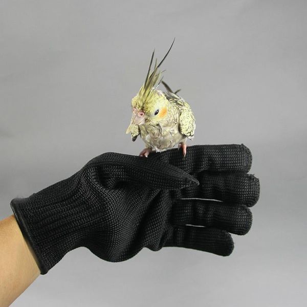 biteproof gloves flying parrot bird accessories wire cages 
biteproof gloves flying parrot bird accessories wire cages