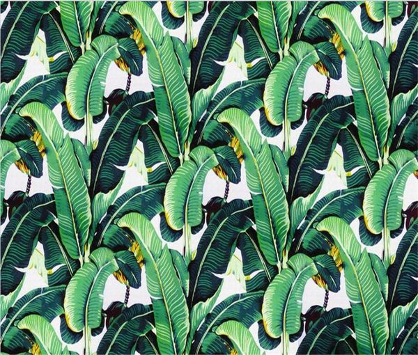 wallpapers shuhiko custom murals european retro hand-painted rain forest plant leaf pastoral mural background wall non-woven wallpaper
wallpapers shuhiko custom murals european retro hand-painted rain forest plant leaf pastoral mural background wall non-woven wallpaper