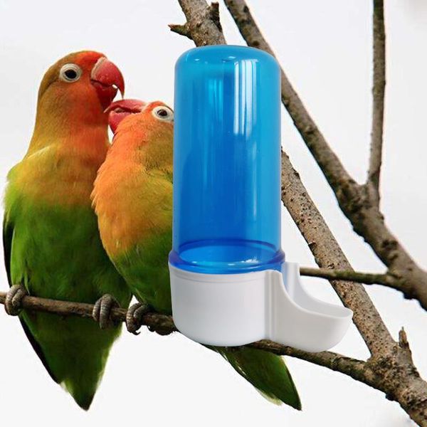 other bird supplies semi-automatic parrot drinker feeding box birdcage transparent blue cage waterer 120ml 1-3 pcs
other bird supplies semi-automatic parrot drinker feeding box birdcage transparent blue cage waterer 120ml 1-3 pcs