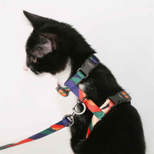dog collars & leashes pet traction rope walking cat retractable lead leash set h anti-breaking chain supplies 60qy
dog collars & leashes pet traction rope walking cat retractable lead leash set h anti-breaking chain supplies 60qy
