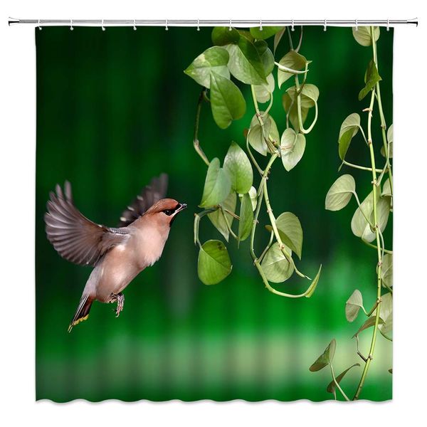 floral shower curtain blue flower branches and leaves twining pattern,70x70 inch polyester fabric bathroom accessories curtains
floral shower curtain blue flower branches and leaves twining pattern,70x70 inch polyester fabric bathroom accessories curtains