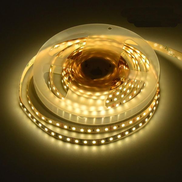 strips not-waterproof 12v 120led bright 3.5mm wide 2835 soft led flexible strip tape light
strips not-waterproof 12v 120led bright 3.5mm wide 2835 soft led flexible strip tape light