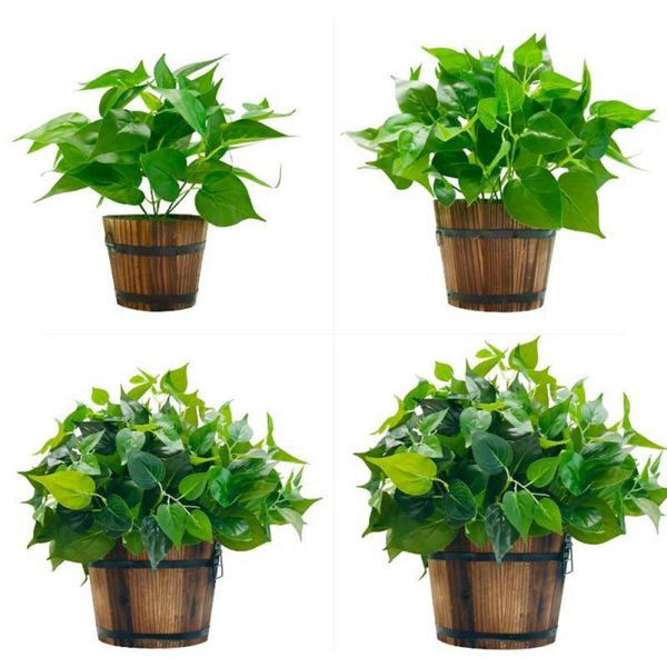 cxd-retro planting flower barrels rustic succulent wavy edge planter box wood pot plant container vases
cxd-retro planting flower barrels rustic succulent wavy edge planter box wood pot plant container vases