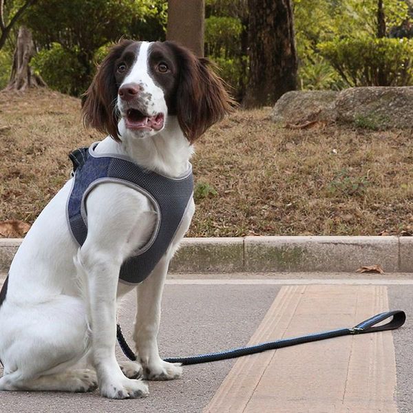 dog collars & leashes pet supplies vest harnesses for lead leash padded chest harness pet's chest-back rope teddy small
dog collars & leashes pet supplies vest harnesses for lead leash padded chest harness pet's chest-back rope teddy small