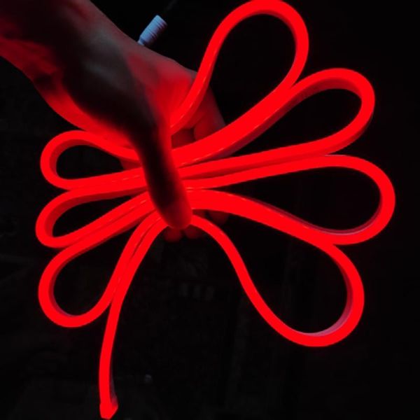 cabinet light kitchen lighting home decoration backlight hand sweep sensor neon for room 12v led flexible lamp
cabinet light kitchen lighting home decoration backlight hand sweep sensor neon for room 12v led flexible lamp