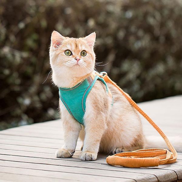cat collars & leads harness leash set reflective vest adjustable small dog pet harnesses outdoor walking lead chest strap for kitten puppy
cat collars & leads harness leash set reflective vest adjustable small dog pet harnesses outdoor walking lead chest strap for kitten puppy