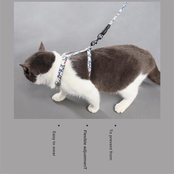 dog collars & leashes cat round rope traction belt chest strap vest pet adjustable anti-breaking chain outdoor park
dog collars & leashes cat round rope traction belt chest strap vest pet adjustable anti-breaking chain outdoor park